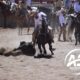 La Herradura, Aguascalientes JG y El Picacho van al Nacional Charro