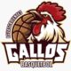 Los Gallos de Aguascalientes están de regreso en este 2024 para jugar la temporada del Circuito de Baloncesto del Pacifico