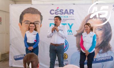 Trabajaré incansablemente por Margaritas César Medina