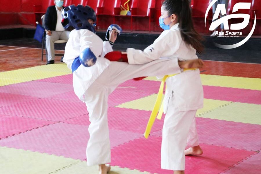Aguascalientes sede del 2do Regional de Karate Do de la Zona Centro