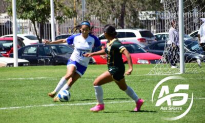 Borregos del Tec Monterrey a la final de futbol de la Universiada Nacional