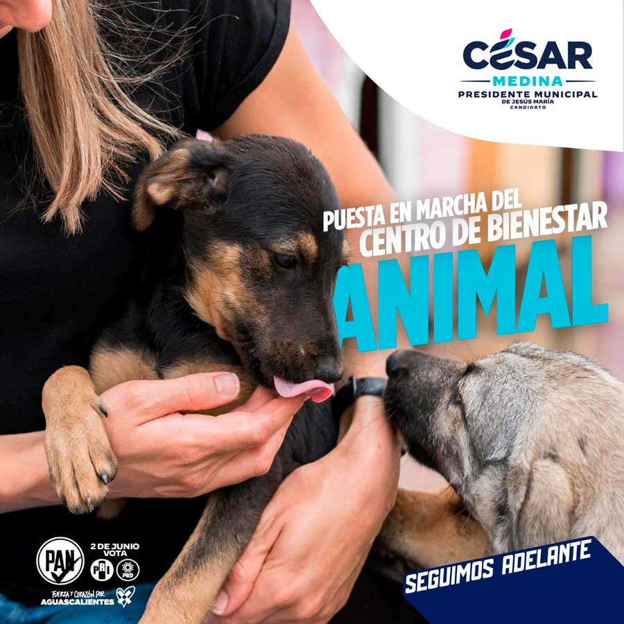 César Medina Cervantes, propone la creación de un centro de bienestar animal en Jesús María.