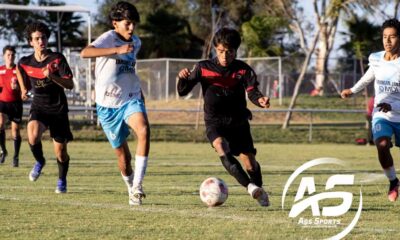 Equipos de Aguascalientes clasificaron a las finales de la LNJ