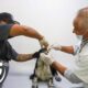 Jesús María cuenta con un consultorio veterinario que ofrece servicios a bajo costo