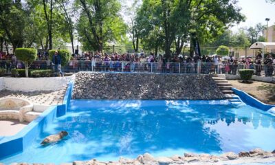 Parque Hidalgo se ha vuelto un espacio de esparcimiento y recreación principal en Aguascalientes