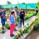 Vivero Municipal de Aguascalientes donará plantas y árboles este 2025