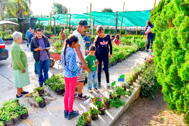 Vivero Municipal de Aguascalientes donará plantas y árboles este 2025
