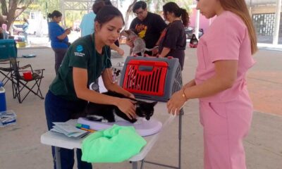 Anuncia municipio de Aguascalientes nuevas fechas de la clínica veterinaria movil