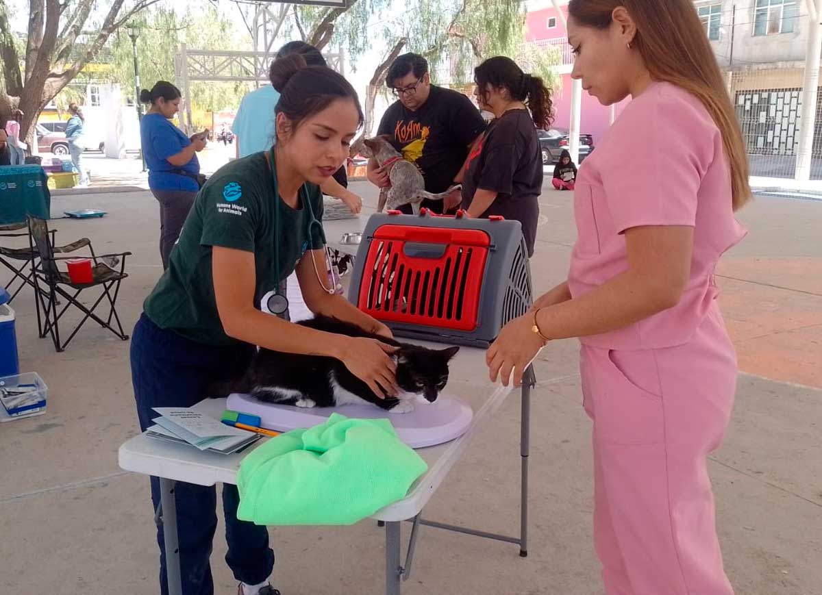 Anuncia municipio de Aguascalientes nuevas fechas de la clínica veterinaria movil