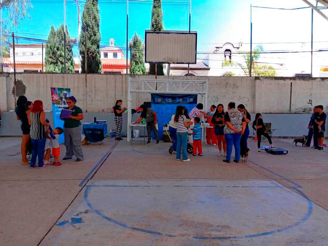 Anuncian nuevas fechas de la Clínica Veterinaria Móvil