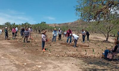 Arranca programa de apoyo económico temporal para área rural en Jesús María