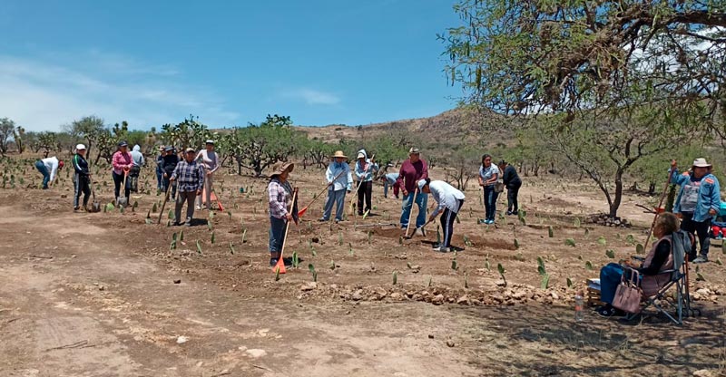 Arranca programa de apoyo económico temporal para área rural en Jesús María