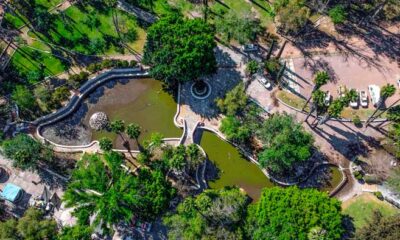 Avanzan trabajos de limpieza del lago artificial del tradicional parque Miguel Hidalgo