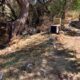 Llevó a cabo Municipio de Aguascalientes jornada de prevención y mantenimiento en el área natural protegida en cobos