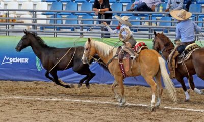 Camino de Aguascalientes es el líder del Nacionalito Charro