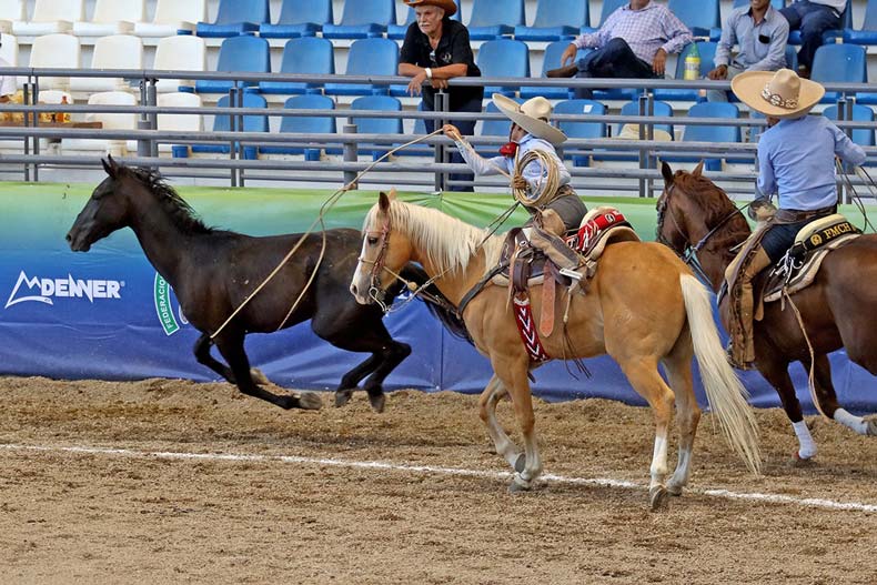Camino de Aguascalientes es el líder del Nacionalito Charro