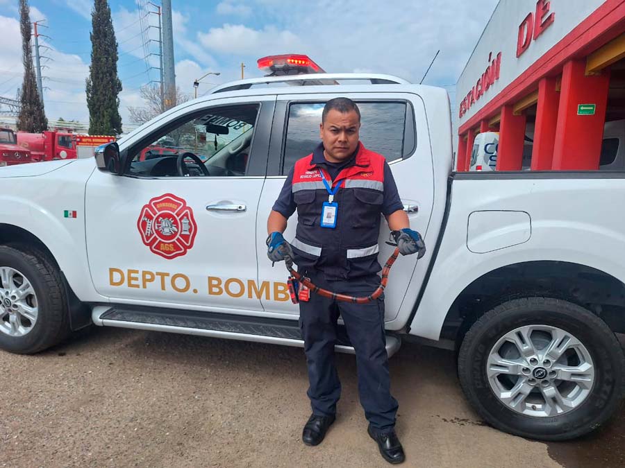 Advierte Municipio de Aguascalientes sobre la presencia de serpientes en esta temporada de lluvias