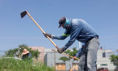 Avanza municipio de Aguascalientes limpieza de segundo anillo