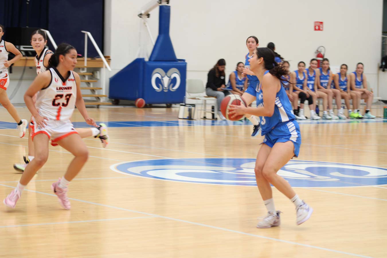 Borregas se imponen a Leonas de la U Anáhuac Querétaro