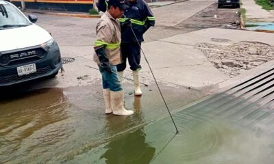 Continúa MIAA con la limpieza y desazolve en drenajes