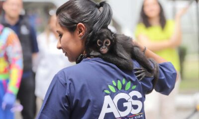 El parque Hidalgo invita a conocer a «Botitas» su nuevo integrante