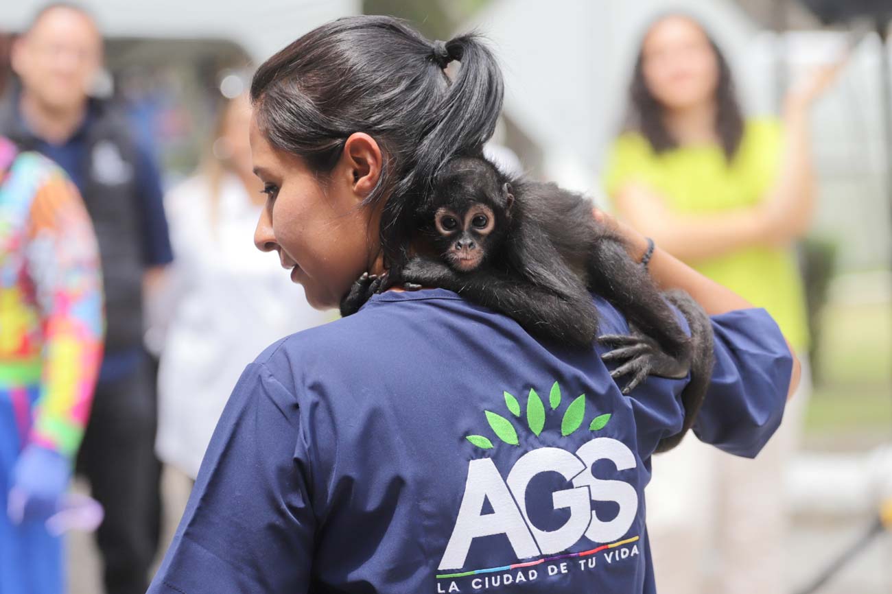 El parque Hidalgo invita a conocer a «Botitas» su nuevo integrante