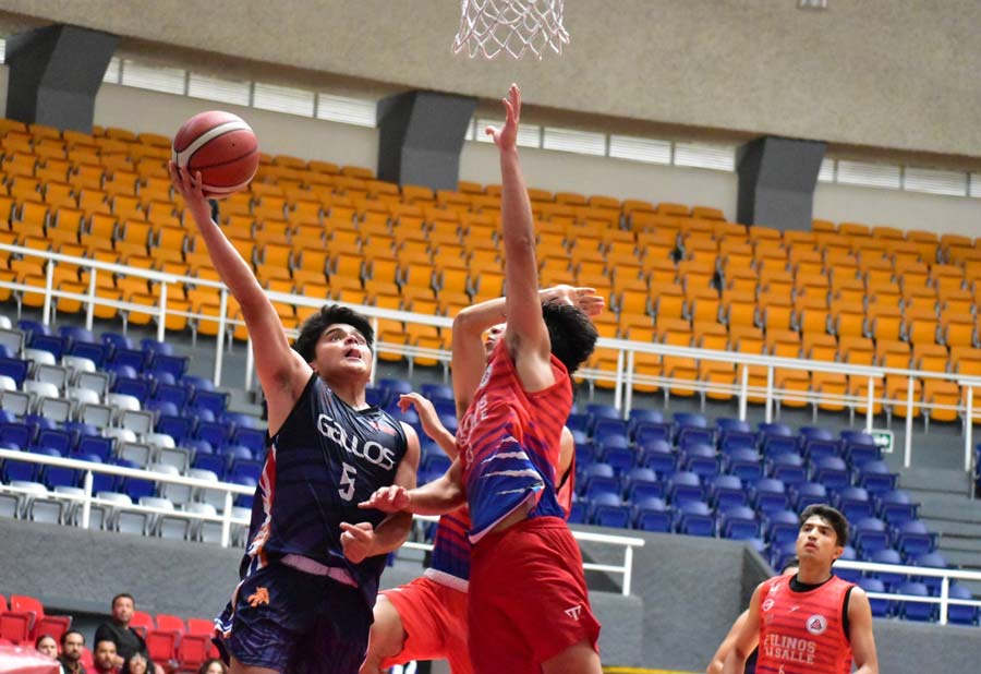 Gallos UAA termina con derrotas sus juegos de pretemporada