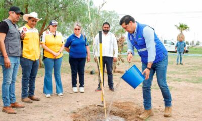 Leo Montañez encabezó jornada de arborización en el fraccionamiento Villa Teresa