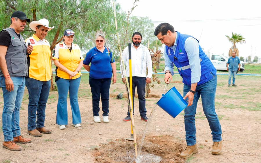 Leo Montañez encabezó jornada de arborización en el fraccionamiento Villa Teresa