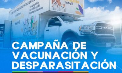 Quirófano móvil llevará campaña de vacunación y desparasitación a San Ignacio y Calvillito