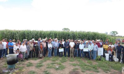 Entregan apoyos a productores de Jesús María