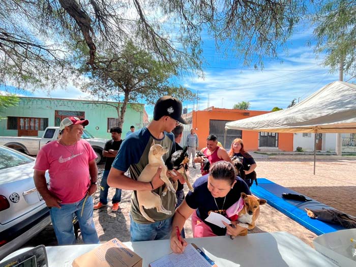 Municipio de Aguascalientes realizará esterilización gratutita para Caninos y Felinos