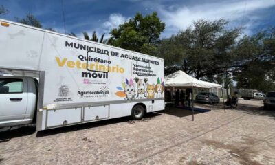 Anuncia Municipio de Aguascalientes nueva jornada de esterilización canina y felina en el parque de la Altavista