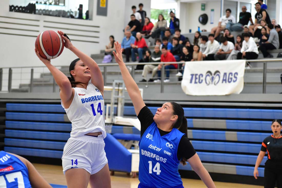 Borregas Aguascalientes caen en sus duelos en Nuevo León