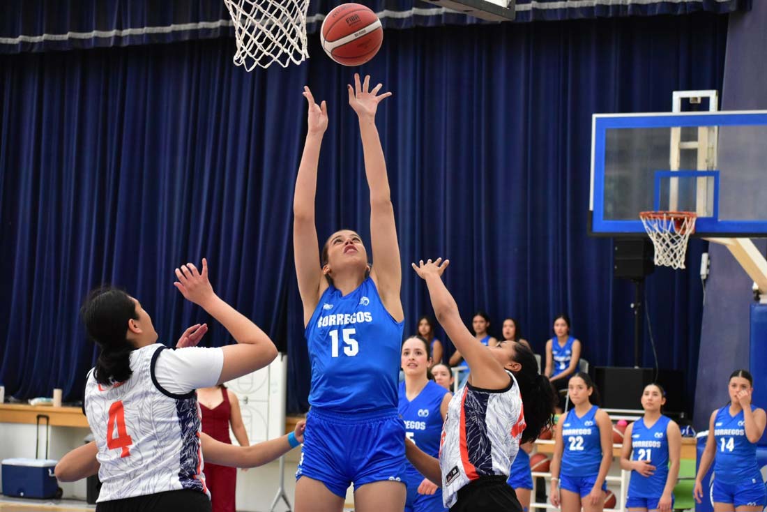 Borregas del ITESM Ags visita a las Tigrillas de la UANL