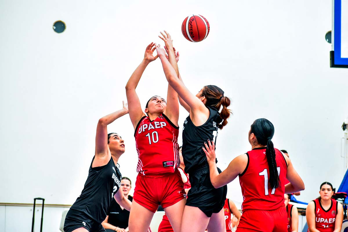 Borregas siguen en ascenso en la Liga ABE