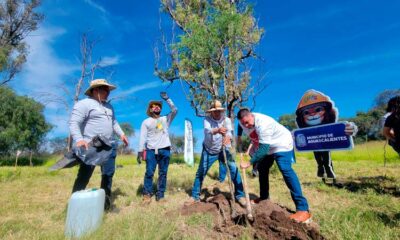 Establece Municipio de Aguascalientes alianza estratégica en favor del medio ambiente; impulsa jornada de reforestación en La Pona