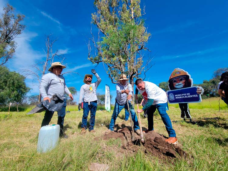 Establece Municipio de Aguascalientes alianza estratégica en favor del medio ambiente; impulsa jornada de reforestación en La Pona