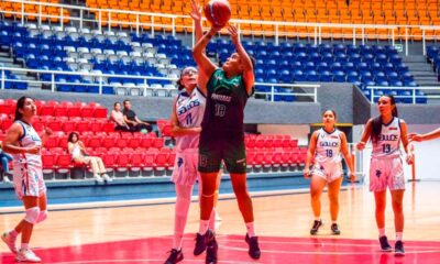 Gallas UAA caen ante las Panteras Montrer en la Liga ABE