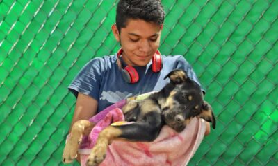 Gobierno de Jesús María ofrece servicio veterinario accesible para el cuidado de las mascotas
