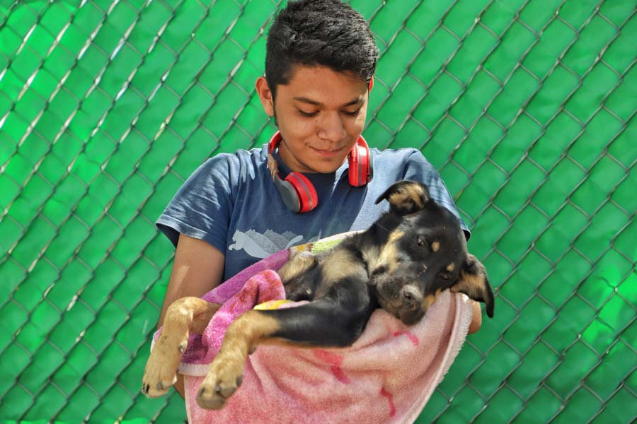 Gobierno de Jesús María ofrece servicio veterinario accesible para el cuidado de las mascotas