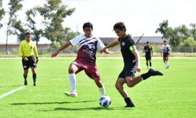 Las Panteras de la UP Aguascalientes visitan a la Anáhuac México Norte