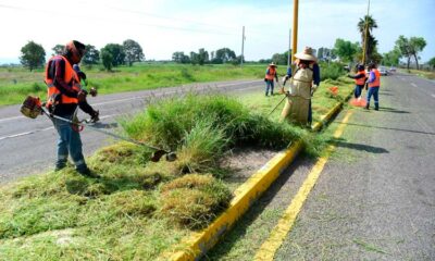 Macro operativo de limpieza en carretera al aeropuerto