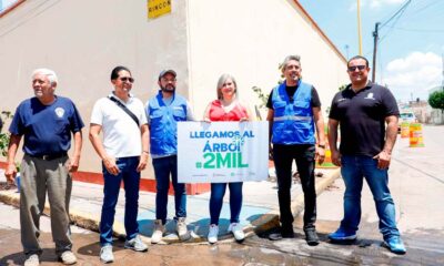 Municipio plantó el ejemplar número 2 mil del «árbol de mi casa» en el Barrio de San Marcos