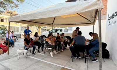 Nueva jornada de esterilizaciones de mascotas en coordinación con el ISSEA