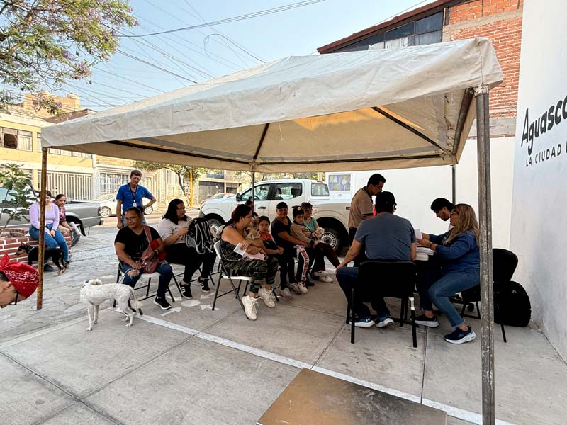 Nueva jornada de esterilizaciones de mascotas en coordinación con el ISSEA