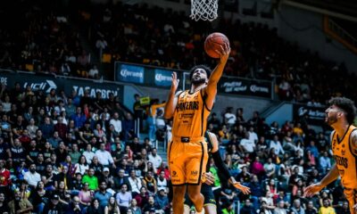 Panteras de Aguascalientes continua con vida en la serie final de la Zona