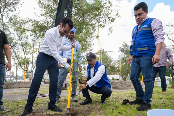 Realiza Municipio de Aguascalientes arborización en canal interceptor