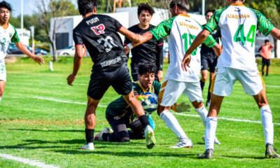 UP Aguascalientes recibe a los Halcones de la U Interamericana