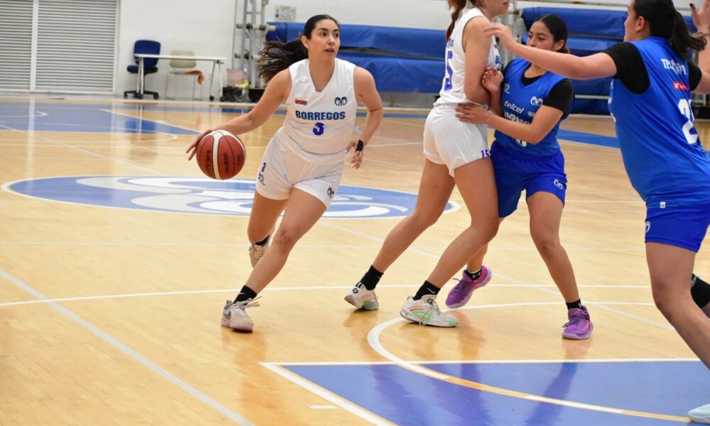 Borregas recibe en casa a las Aztecas de la UDLAP